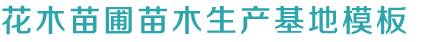 k8凯发是什么